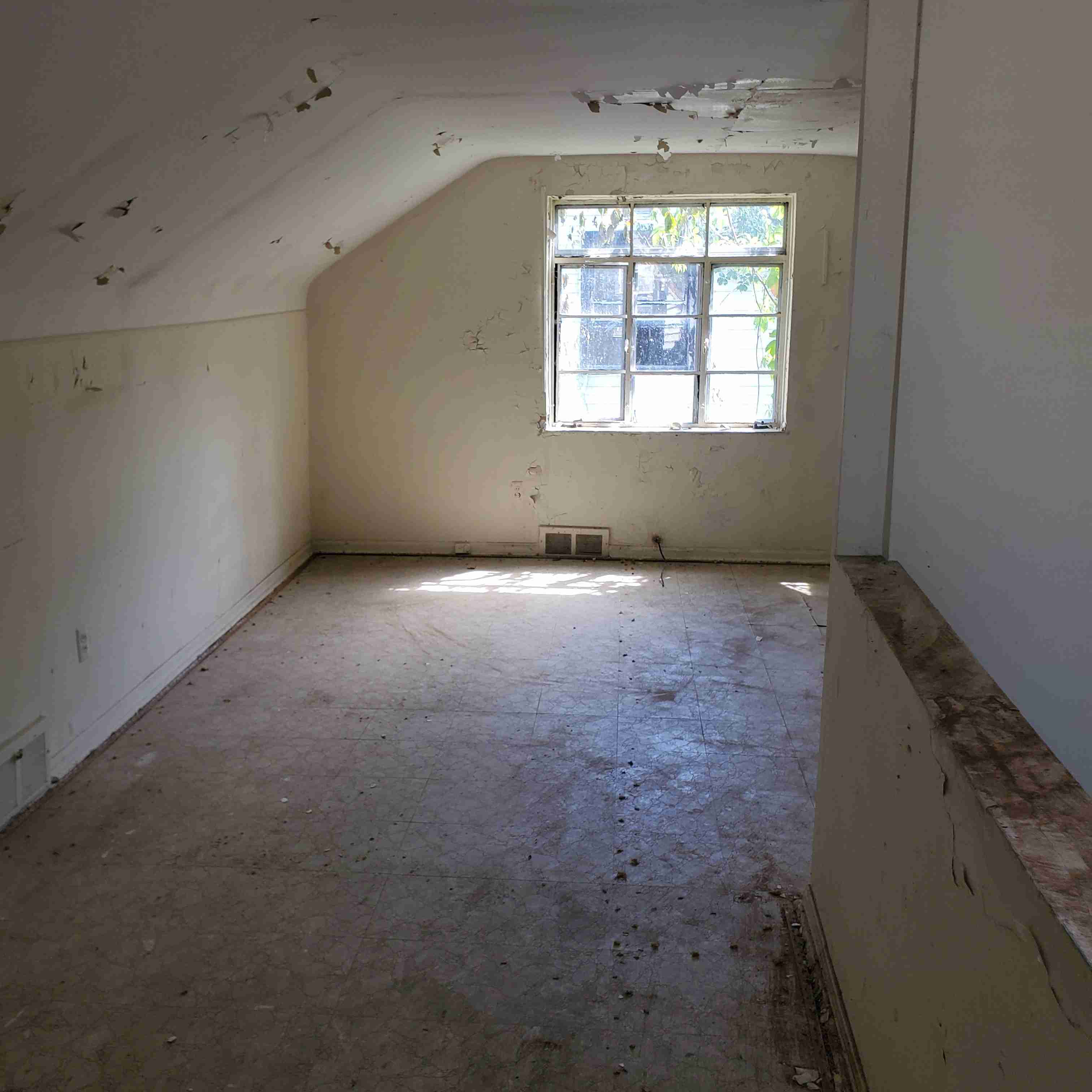 20200812_151016 (2).jpg